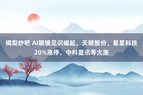 橘梨纱吧 AI眼镜见识崛起，天键股份、星星科技20%涨停，中科蓝讯等大涨