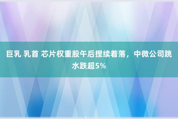 巨乳 乳首 芯片权重股午后捏续着落，中微公司跳水跌超5%