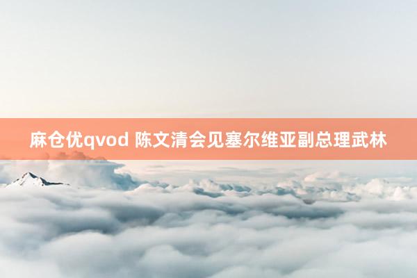 麻仓优qvod 陈文清会见塞尔维亚副总理武林