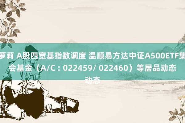 萝莉 A股四宽基指数调度 温顺易方达中证A500ETF集会基金（A/C : 022459/ 022460）等居品动态