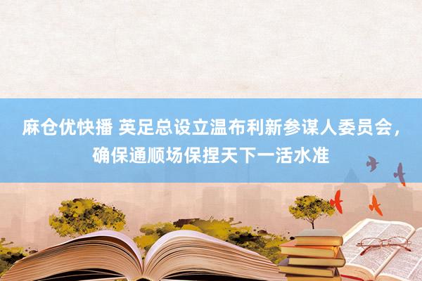 麻仓优快播 英足总设立温布利新参谋人委员会，确保通顺场保捏天下一活水准