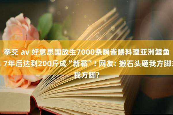 拳交 av 好意思国放生7000条鳄雀鳝料理亚洲鲤鱼， 7年后达到200斤成“新霸”! 网友: 搬石头砸我方脚?