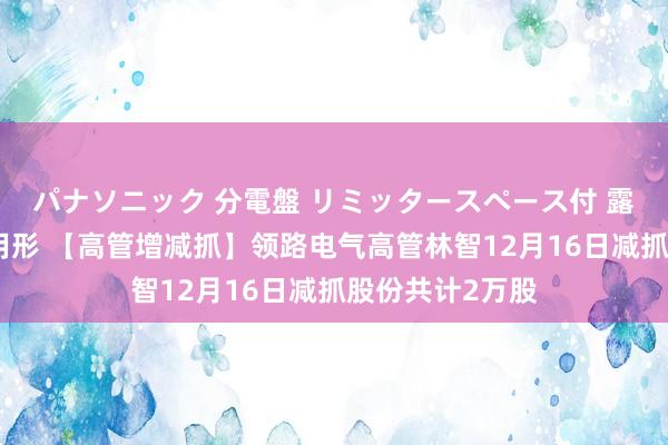 パナソニック 分電盤 リミッタースペース付 露出・半埋込両用形 【高管增减抓】领路电气高管林智12月16日减抓股份共计2万股