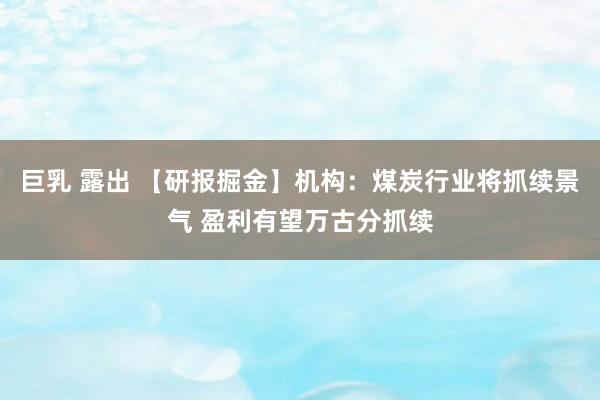 巨乳 露出 【研报掘金】机构：煤炭行业将抓续景气 盈利有望万古分抓续