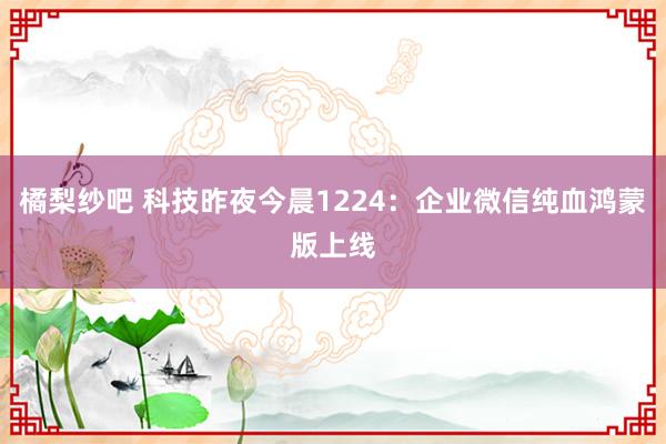 橘梨纱吧 科技昨夜今晨1224：企业微信纯血鸿蒙版上线