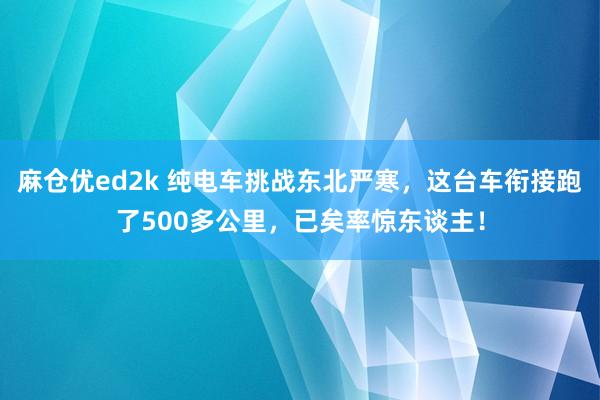 麻仓优ed2k 纯电车挑战东北严寒，这台车衔接跑了500多公里，已矣率惊东谈主！