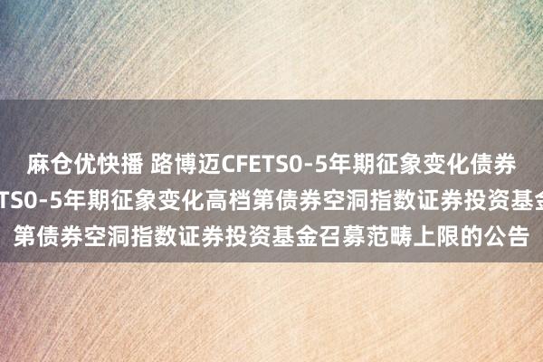 麻仓优快播 路博迈CFETS0-5年期征象变化债券指数: 对于路博迈CFETS0-5年期征象变化高档第债券空洞指数证券投资基金召募范畴上限的公告