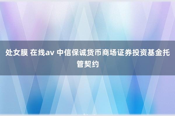 处女膜 在线av 中信保诚货币商场证券投资基金托管契约