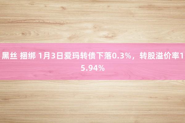 黑丝 捆绑 1月3日爱玛转债下落0.3%，转股溢价率15.94%