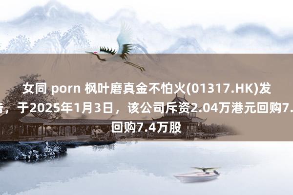 女同 porn 枫叶磨真金不怕火(01317.HK)发布公告，于2025年1月3日，该公司斥资2.04万港元回购7.4万股