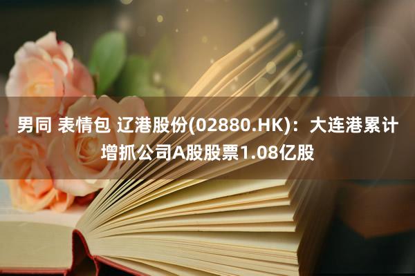 男同 表情包 辽港股份(02880.HK)：大连港累计增抓公司A股股票1.08亿股