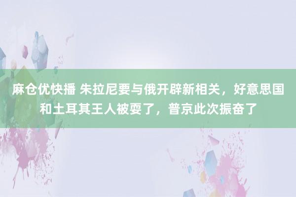 麻仓优快播 朱拉尼要与俄开辟新相关，好意思国和土耳其王人被耍了，普京此次振奋了