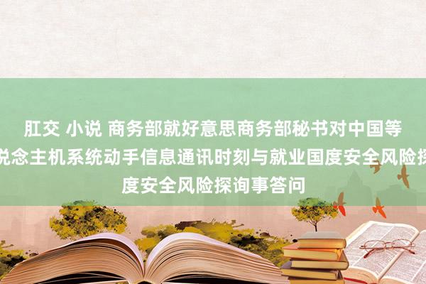 肛交 小说 商务部就好意思商务部秘书对中国等国度无东说念主机系统动手信息通讯时刻与就业国度安全风险探询事答问