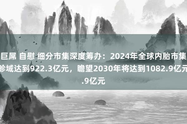 巨屌 自慰 细分市集深度筹办：2024年全球内胎市集畛域达到922.3亿元，瞻望2030年将达到1082.9亿元