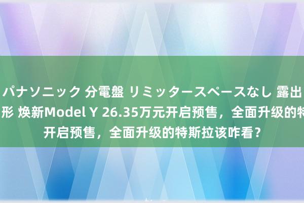 パナソニック 分電盤 リミッタースペースなし 露出・半埋込両用形 焕新Model Y 26.35万元开启预售，全面升级的特斯拉该咋看？