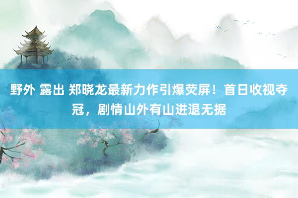 野外 露出 郑晓龙最新力作引爆荧屏！首日收视夺冠，剧情山外有山进退无据