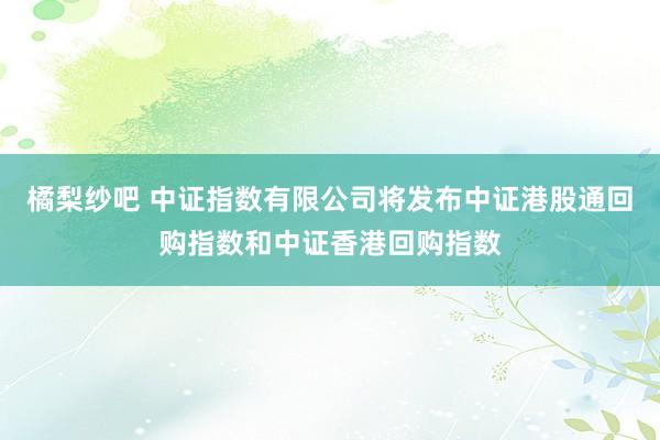 橘梨纱吧 中证指数有限公司将发布中证港股通回购指数和中证香港回购指数