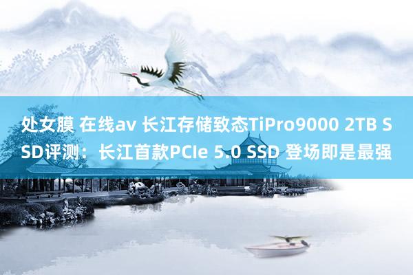 处女膜 在线av 长江存储致态TiPro9000 2TB SSD评测：长江首款PCIe 5.0 SSD 登场即是最强