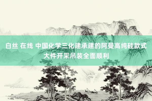 白丝 在线 中国化学三化建承建的阿曼高纯硅款式大件开采吊装全面顺利